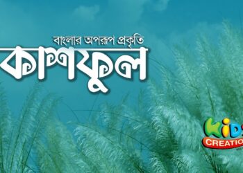 কাশফুলের কথা